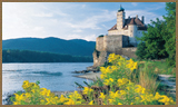 Great Capitals & Vintages of the Danube