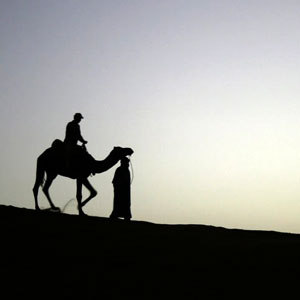 TUNISIAN ADVENTURE   COSMOS