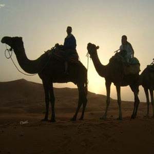 JEWELS OF MOROCCO   COSMOS