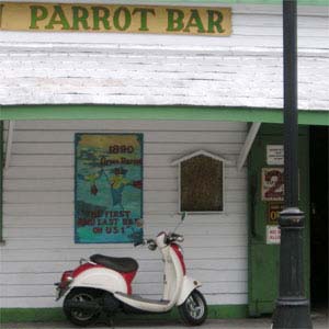 HIGHLIGHTS OF SUNNY FLORIDA COSMOS