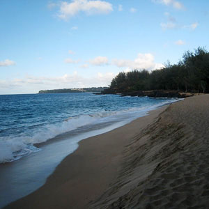 CRUISING HAWAII'S PARADISE WITH SHERATON PRINCESS KAIULANI GLOBUS