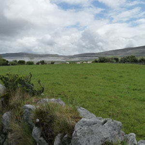 INTRODUCTION TO IRELAND   GLOBUS