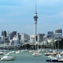 Auckland Explorer