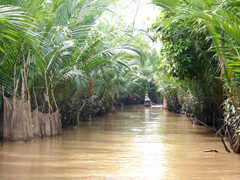 Asia River Cruise - Mekong River Delta view